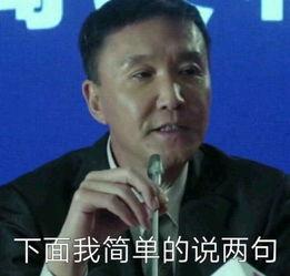 李达康背锅表情包,网络时代的政治隐喻与幽默